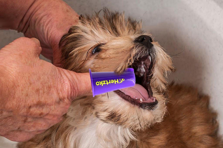 Dogs and Cat Finger Tooth Brush by Pk Includes 7 Brushes - Gives Great Control to Reach Into The Back of Your Mouth Decreases Teeth Gum Problems Advanced Oral Care