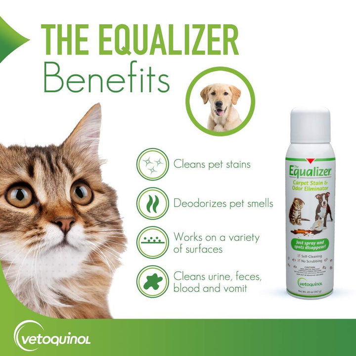 Equalizer Pet Carpet Cleaner, Stain Remover & Odor Eliminator, Carpet Spot Cleaner, 20oz
