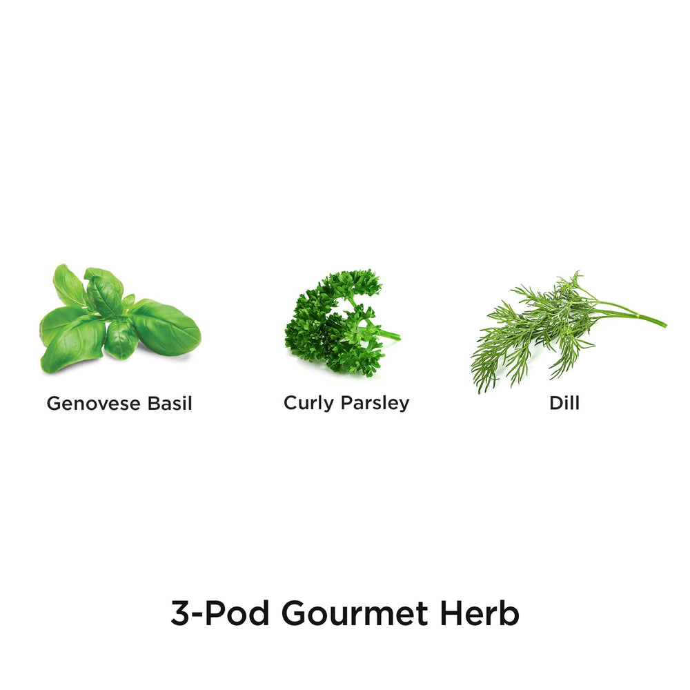 Gourmet Herb Seed pod Kit - Herb Seeds for Indoor Garden, 3-Pod