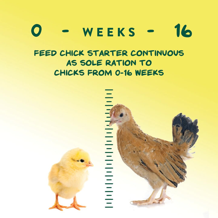 Chick Starter Grower, Medicated Chick Feed Crumble for Young Chickens, Formulated with Amprolium to Prevent Coccidiosis, 15 lbs