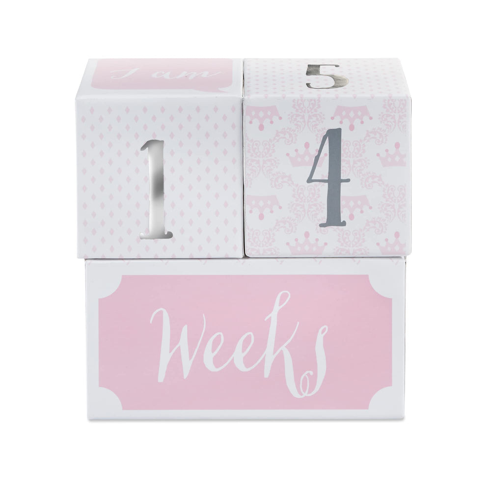 My First Milestone Princess Age Blocks | Baby Picture Props for Photo Sharing The First Year