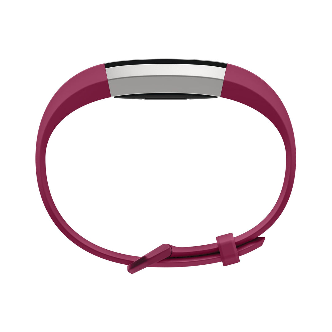 Alta HR and Alta Classic Accessory Band, Fuchsia, Large