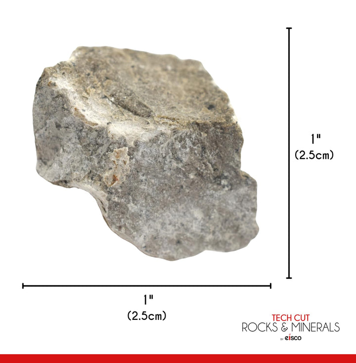 12PK Raw Gray Limestone, Sedimentary Rock Specimens - Approx. 1 - Geologist Selected & Hand Processed - Great for Science Classrooms - Class Pack