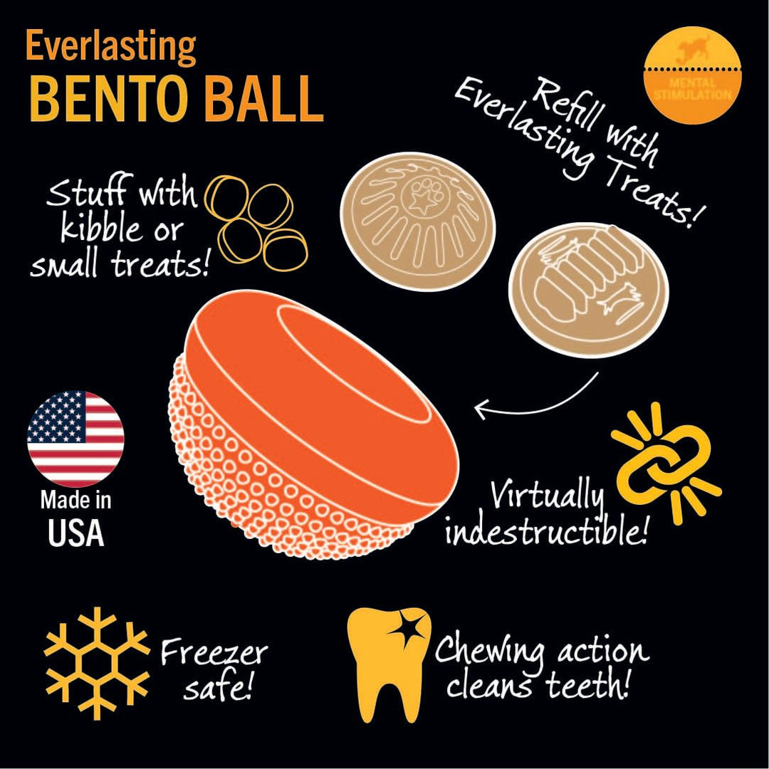 Everlasting Treat Bento Ball Tough Dog Chew Toy Medium
