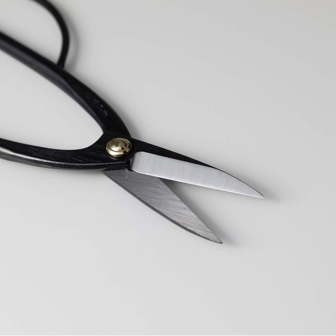 Ashinaga Bonsai Pruning Scissors 8inch (200mm) MADE IN JAPAN, Long Handle Bonsai Cutter in Carbon Steel, Rose Pruning Shears, Flower Scissors, Japanese Gardening Tools