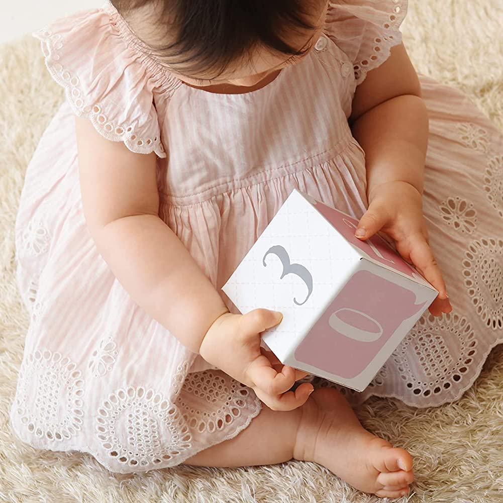 My First Milestone Princess Age Blocks | Baby Picture Props for Photo Sharing The First Year