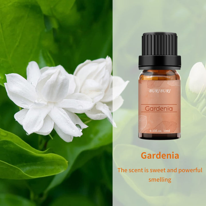 Gardenia Oil and Violet Essential Oil, 100% Pure, Undiluted, Natural, Organic Aromatherapy Essential Oils Gift Set, 10MLx2