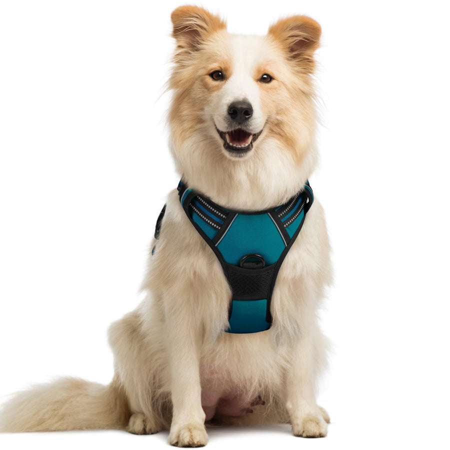 Dog Harness No Pull with 2 Leash Clips, Adjustable Soft Padded, Reflective Oxford No Choke Pet Vest with Easy Control Handle for Medium Sized Dogs, Blue Coral, M