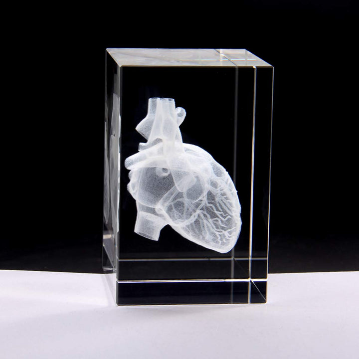 3D Human Heart Anatomical Model Paperweight(Laser Etched) in Crystal Glass Cube Science Anatomy Gift (No Included LED Base)(3.1x2x2 inch)