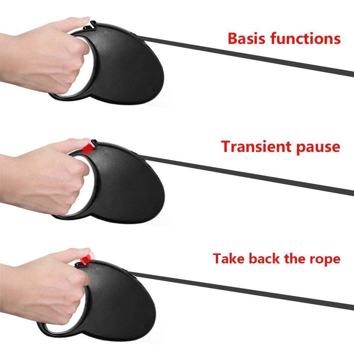 Auto Retractable Dog Leash Explore Training Lead - 10 Ft/16.6Ft Pet Dog Walking Running Rope