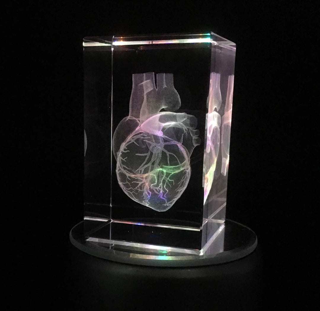 3D Human Heart Anatomical Model Paperweight(Laser Etched) in Crystal Glass Cube Science Anatomy Gift (No Included LED Base)(3.1x2x2 inch)