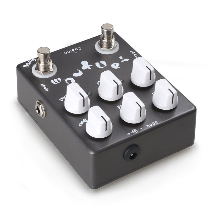 Effect Pedal for Guitar & Bass (CP-15)