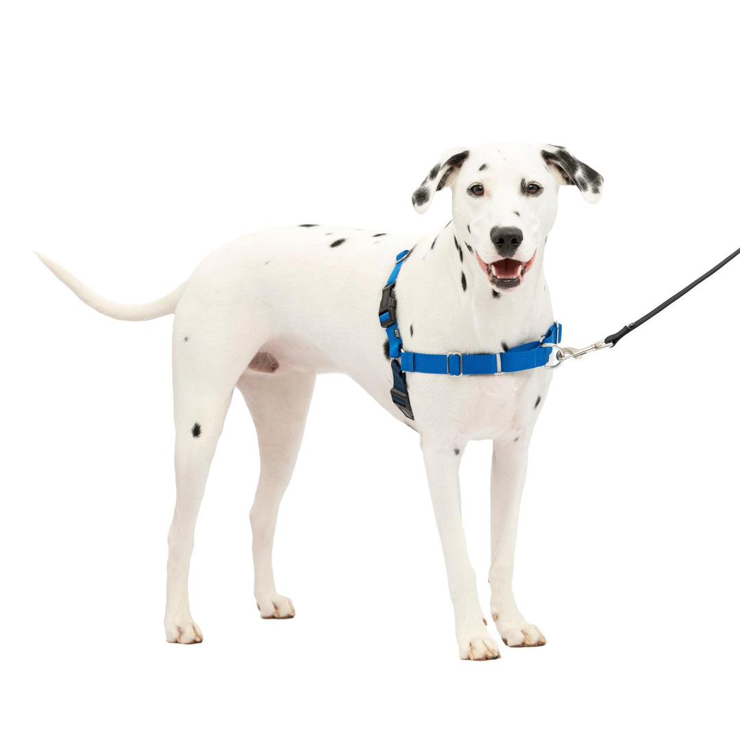 Easy Walk No-Pull Dog Harness - The Ultimate Harness to Help Stop Pulling - Take Control & Teach Better Leash Manners - Helps Prevent Pets Pulling on Walks, Medium/Large, Royal Blue/Navy Blue