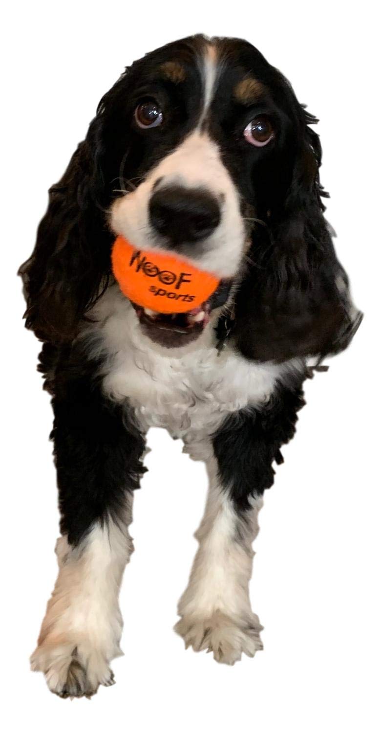 Dog Tennis Balls 12 Orange Tennis Balls for Dogs. Easy to Find! Includes Carrying Bag. Medium Size. Fits Standard Ball Launchers
