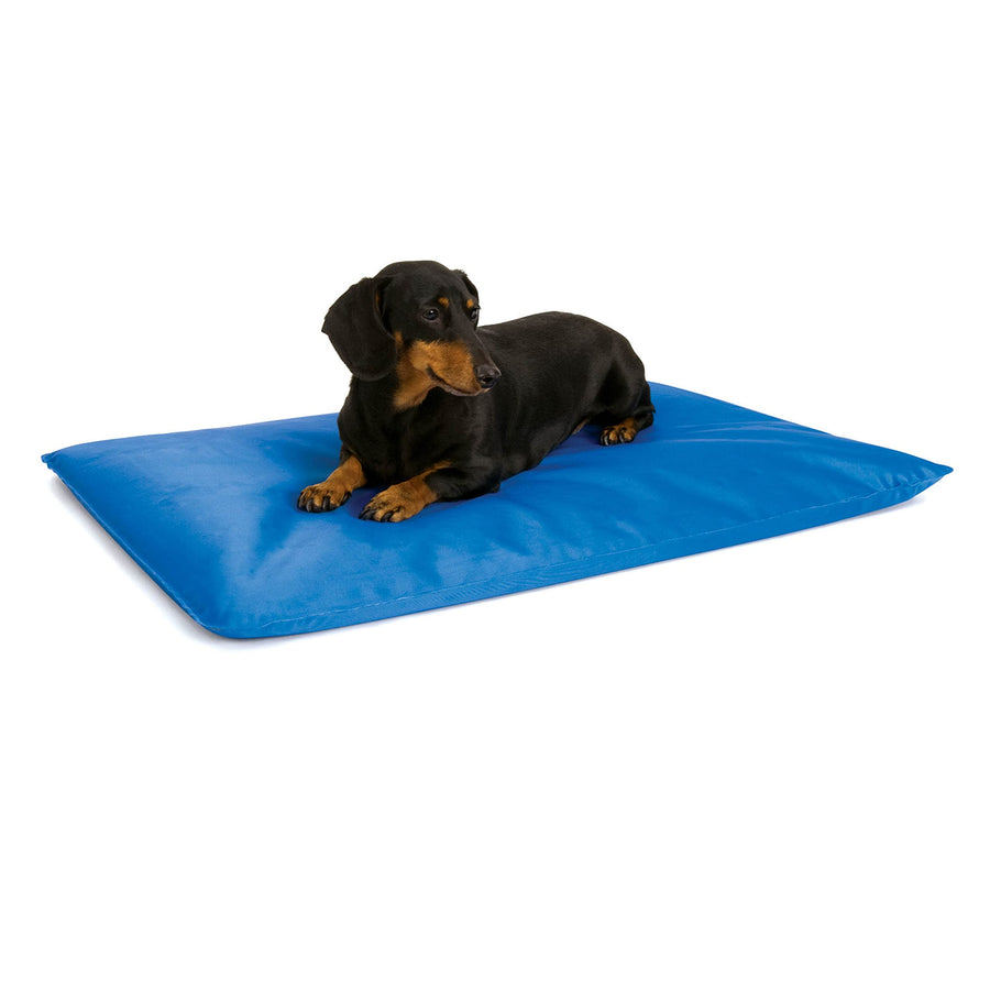 Cool Bed III Dog Cooling Mat, Indoor Outdoor Cooling Beds for Small Dogs, Chilling Pet Pad for in Home, Outdoor Houses, Crates, Yards, Porches - Small 24 X 17in Chill Blue
