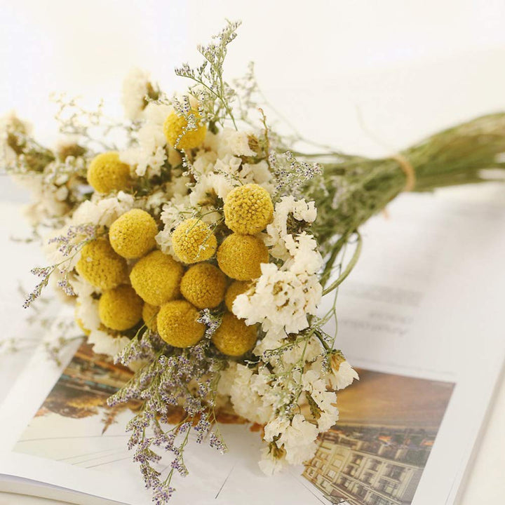 Dried Craspedia Yellow Billy Balls 40 Stems, 1-1.5 inch in Diameter, Dried Flower Branch for DIY Flower Arrangements Home Decor