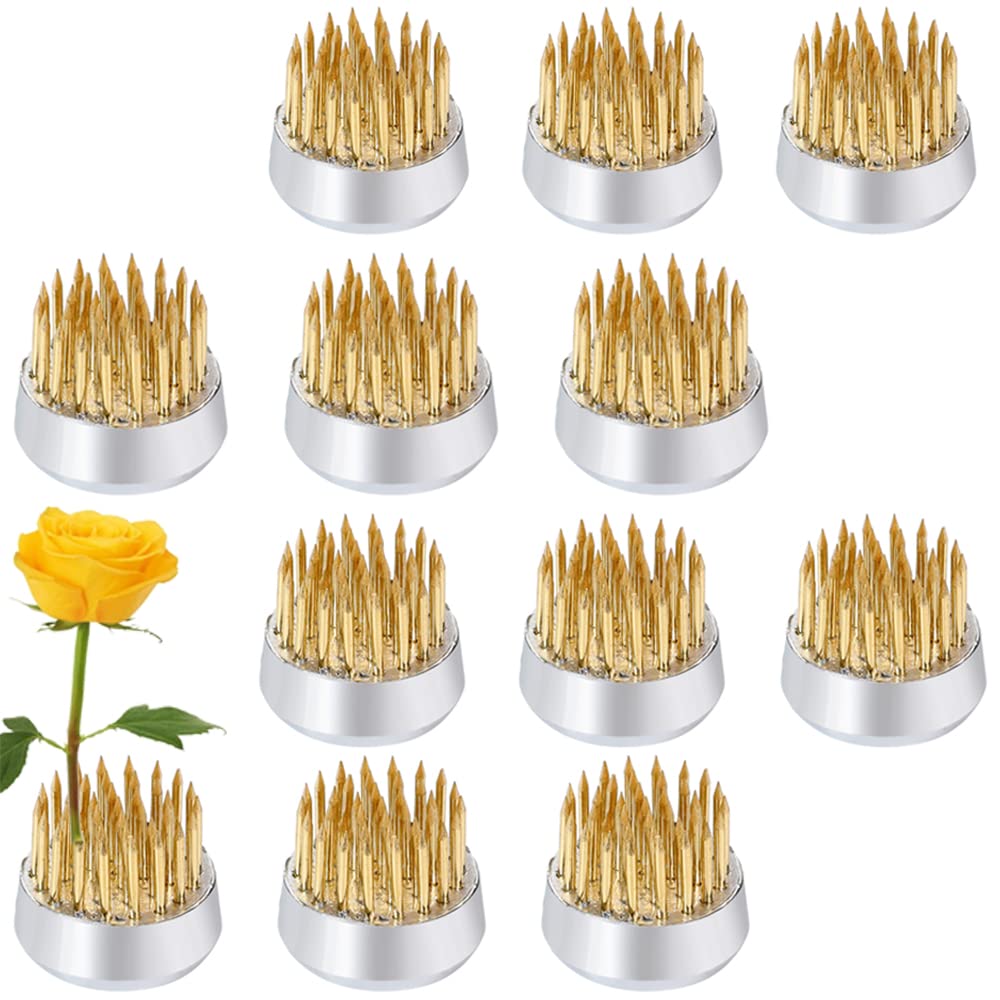 12PCS Round Flower Frog, Floral Pin Frog Japanese Flower Frogs for Arrangements Flower Arranging Tools Frog Flower Holder for Flower Arrangement, Plant Fixation, Plant Decoration, Gold