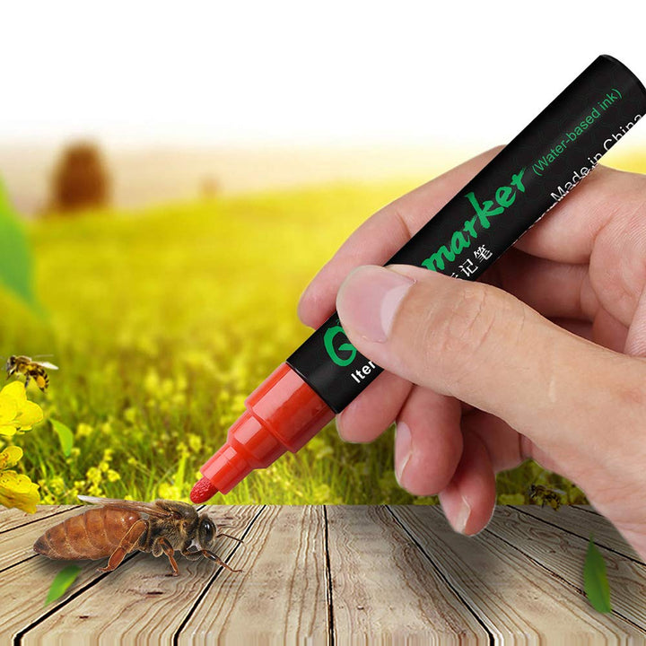 Queen Bee Marking Kit Queen Bee Markers 5 Queen Marker Pens 2 Queen bee Marking Bottles 2 Queen Cages for Beekeeping Supplies