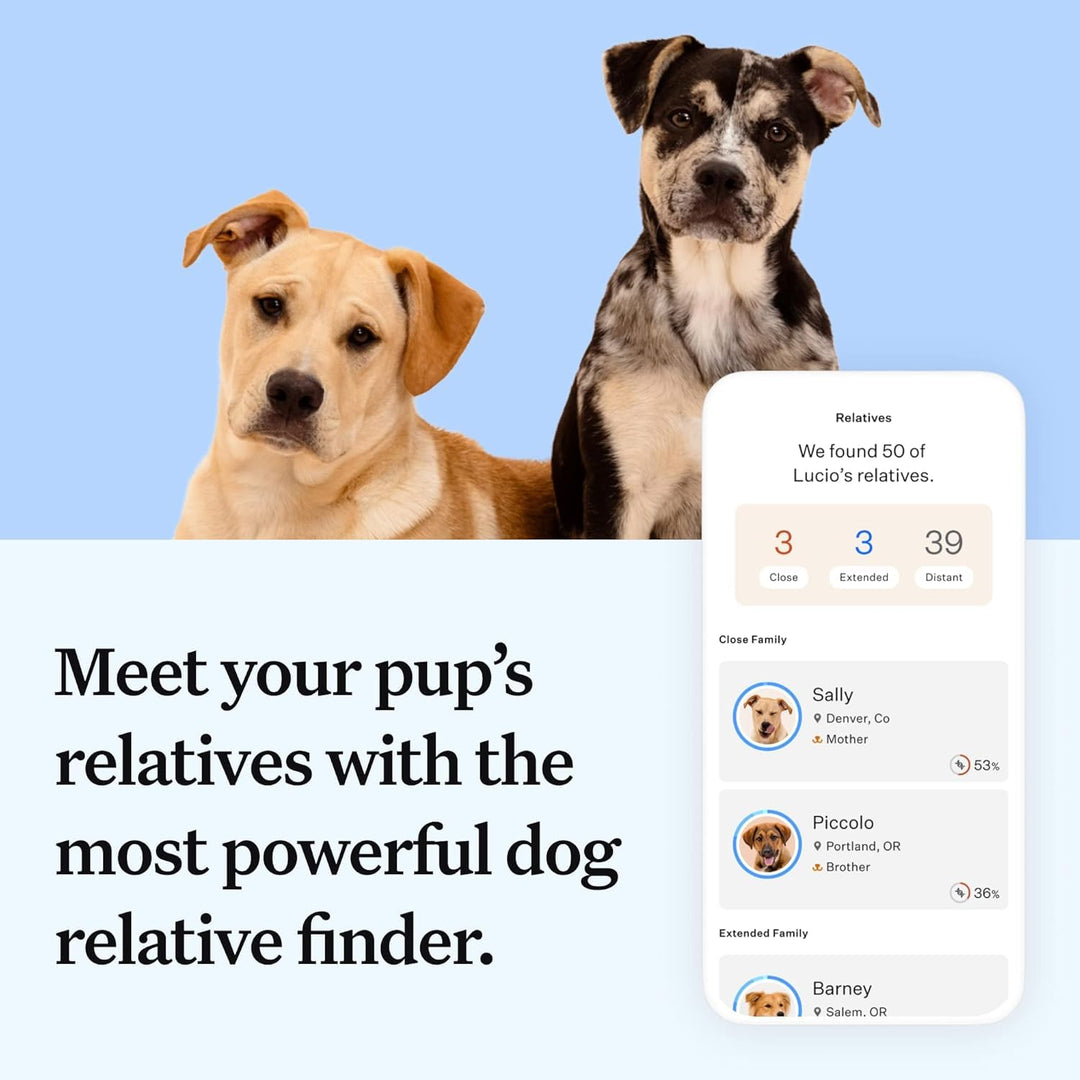 Panel Essential Dog DNA Kit: Most Accurate Test for 365+ Breeds, 30 Genetic Health Conditions, 50+ Traits, Relatives, Ancestry - 2 Pack