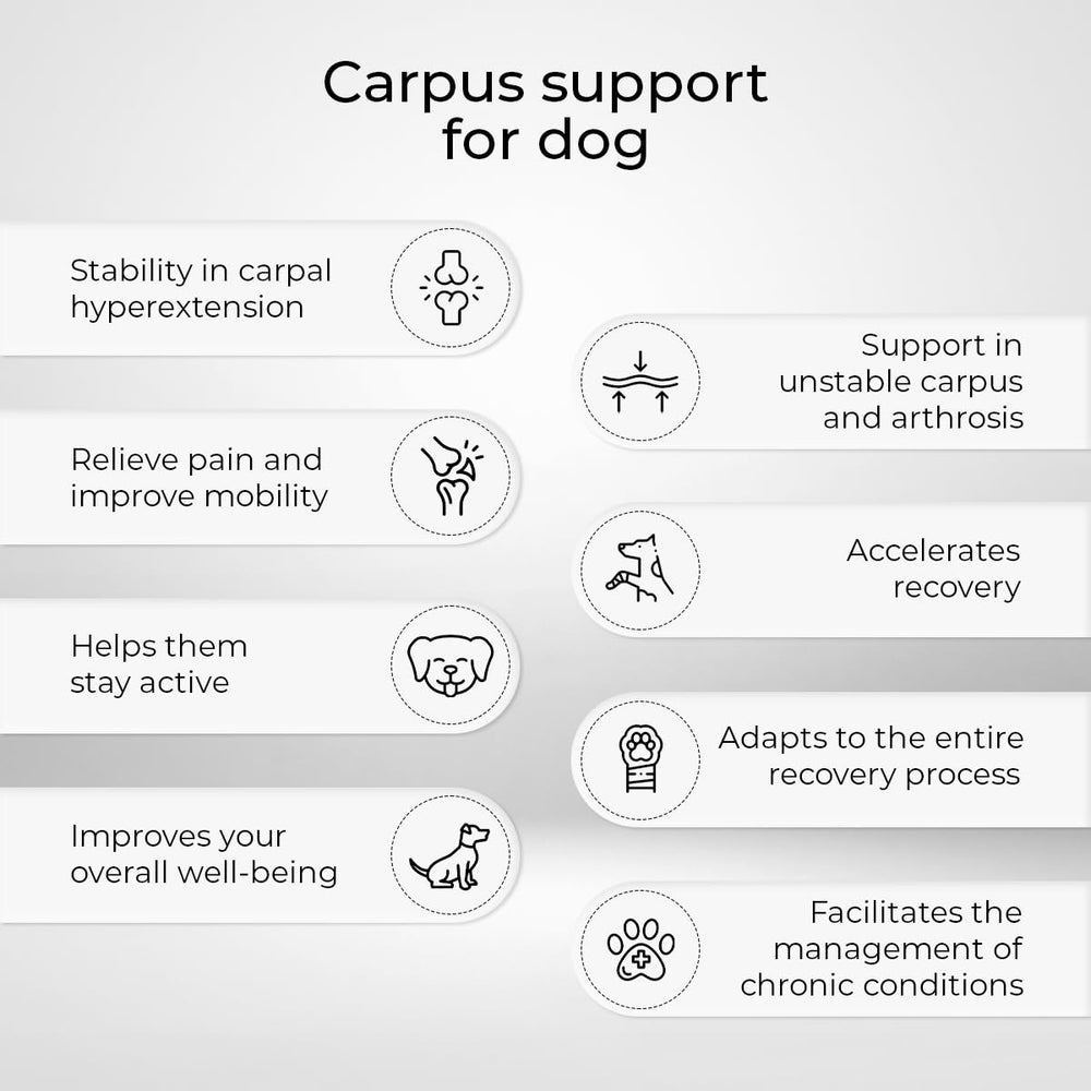 - Carpal Support for Dogs with Arthrosis, Ligament Injuries or Unstable Carpus, Size XL
