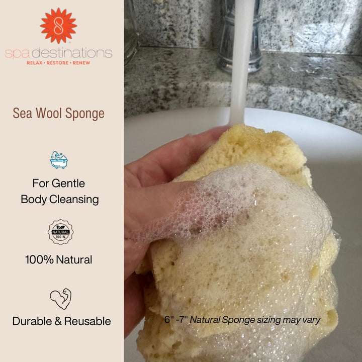 Natural Sea Wool Sponge 6-7 Natural Renewable Resource