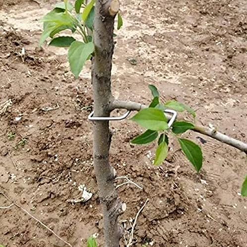 The Fruit Branch Spreader Forms Stronger Branches on Cherries and Other Fruit Trees to Support The Growth of New Branches, Branch Support (24 per Pack) (S-3.9(inch))