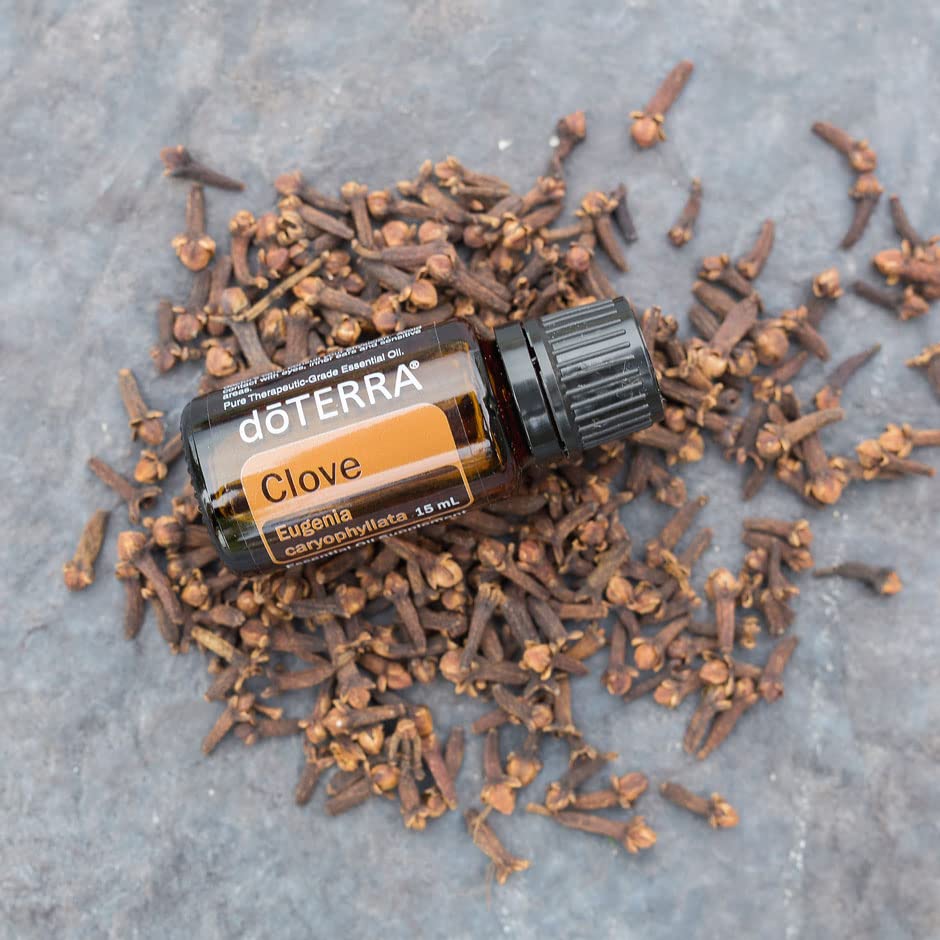 Clove 15 ml