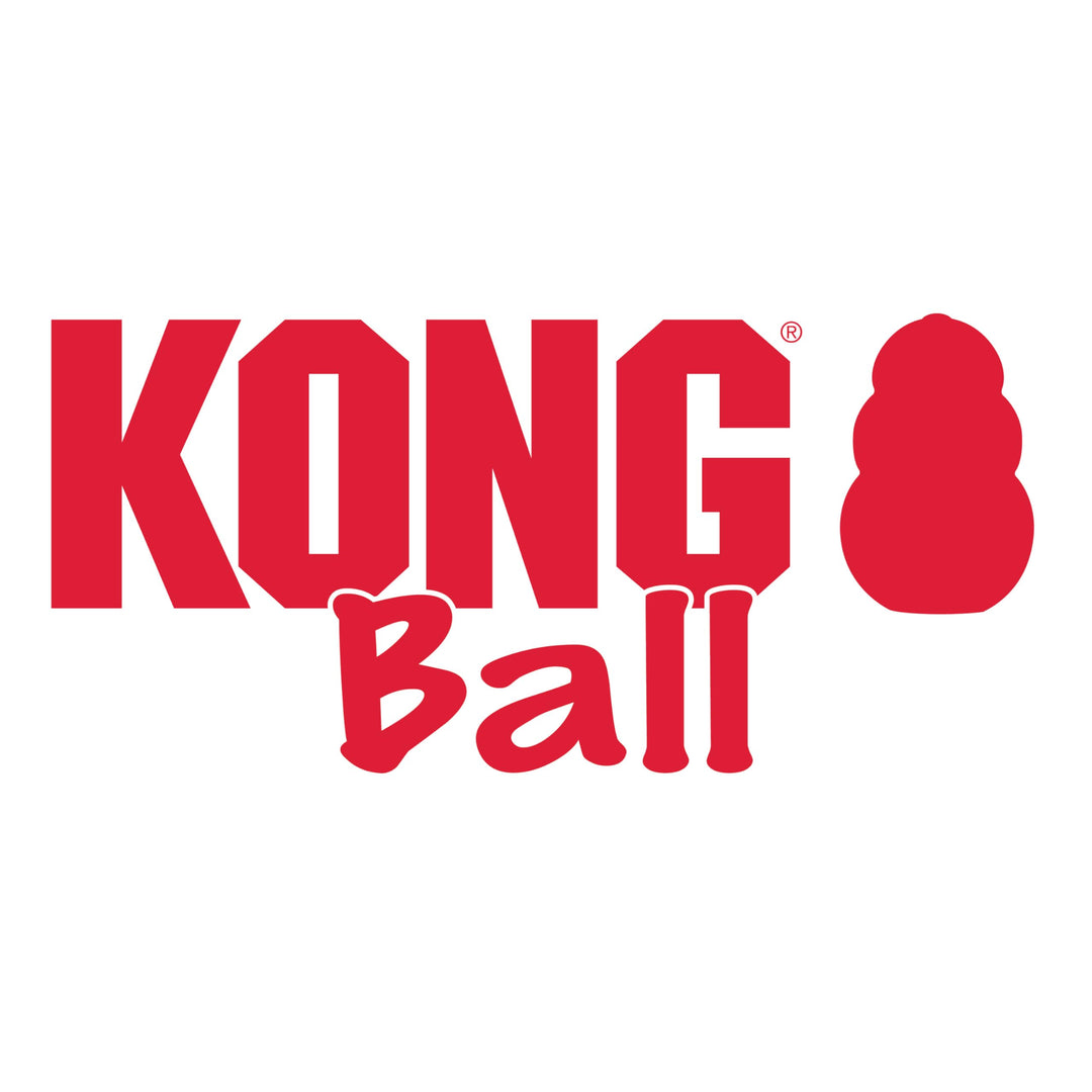 Ball with Hole - Durable Dog Fetch Toy for Training, Interactive Playtime & More - Classic Natural Rubber Ball - Red - For Small Dogs