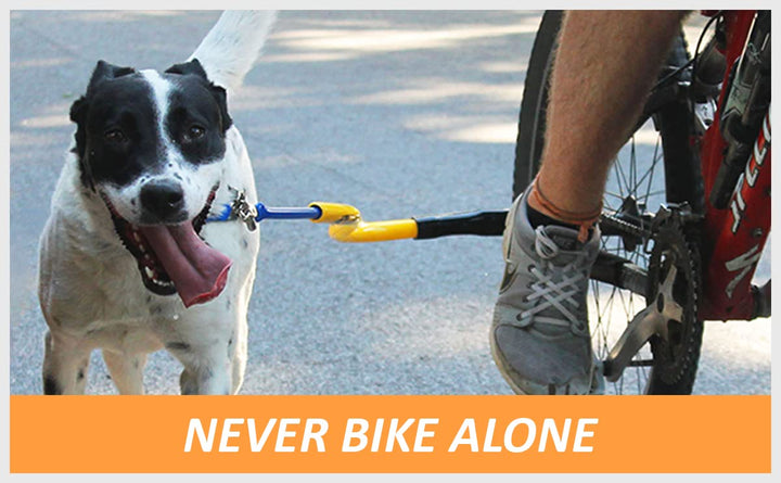 Best Dog Bike Leash - (Orange)