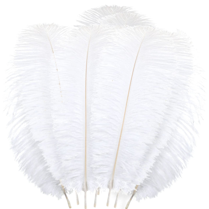 48 Pcs Natural Ostrich Feathers 10-12 Inch (25-30 cm) Large Feathers for Crafts Feather Centerpieces for Tables Feather Plume for Vases Wedding Party Tree Decorations (White)