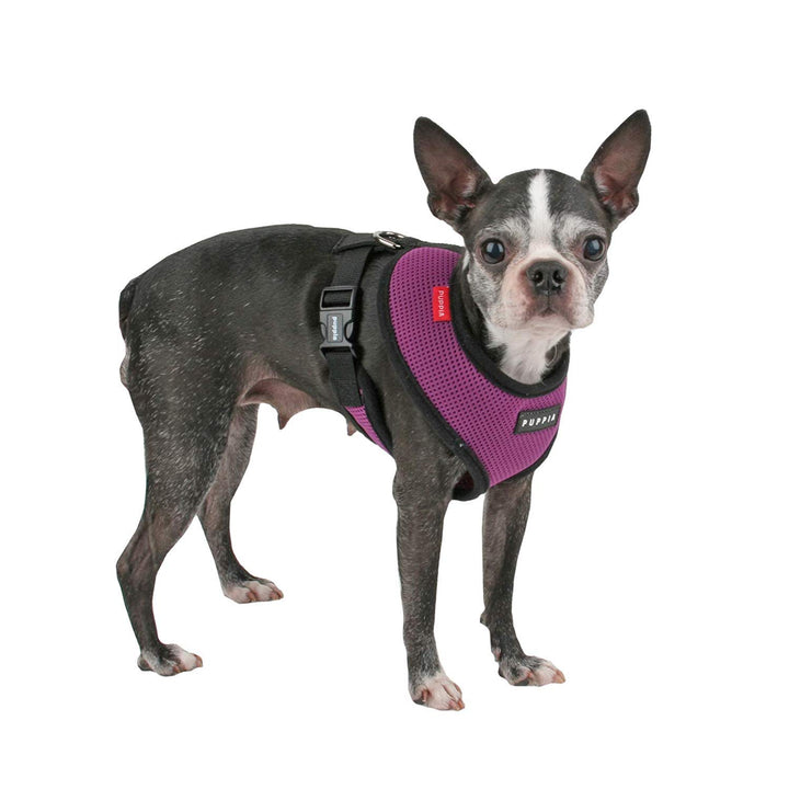 Soft Dog Harness No Choke Over-The-Head Triple Layered Breathable Mesh Adjustable Chest Belt and Quick-Release Buckle, Purple, Medium