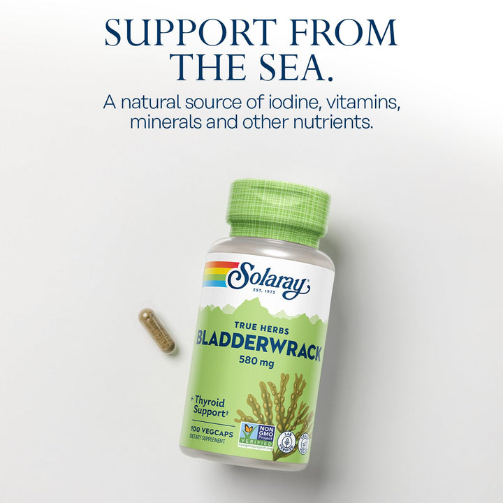 Bladderwrack Capsules 580 mg - Nutrient-Packed Seaweed Supplement, High in Iodine - Balanced Herbal Support - Vegan, Non-GMO, 60-Day Guarantee, Lab Verified - 100 Servings, 100 VegCaps