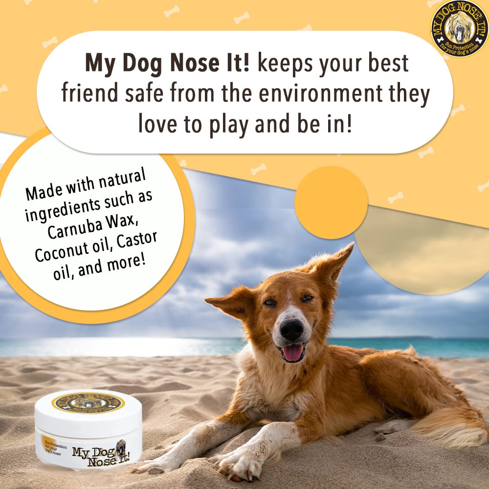 Moisturizing Sun Protection Balm for Dogs Noses - Protect Your Dog from Harmful UVA/UVB Rays .5 Ounce