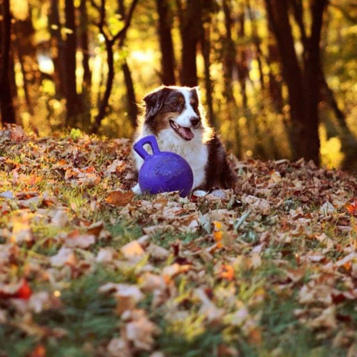 Dog 10-Inch Tug-n-Toss, Blue