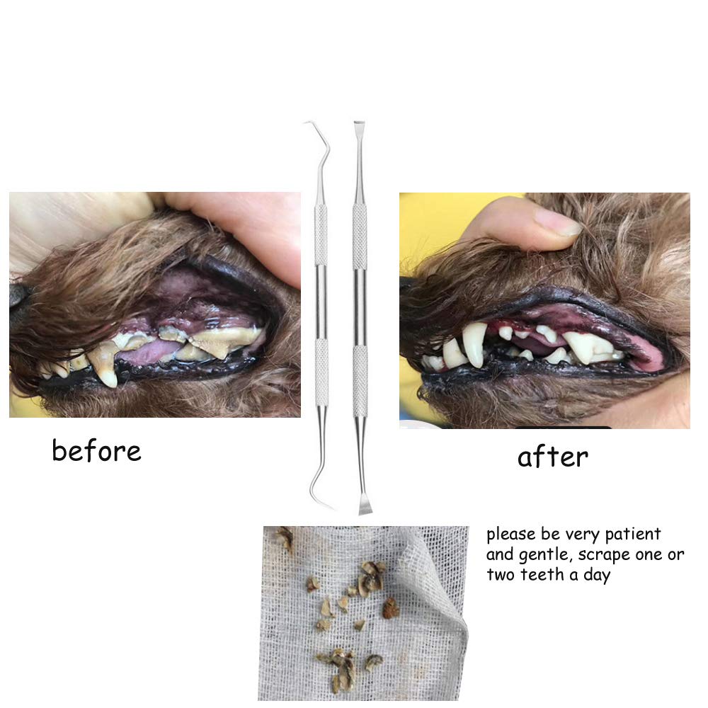 Dog Teeth Cleaning Tools Tarter Remover Canine Dental Scraper Scaler Tools Pet Tooth Cleaner Stainless Steel with Double Head