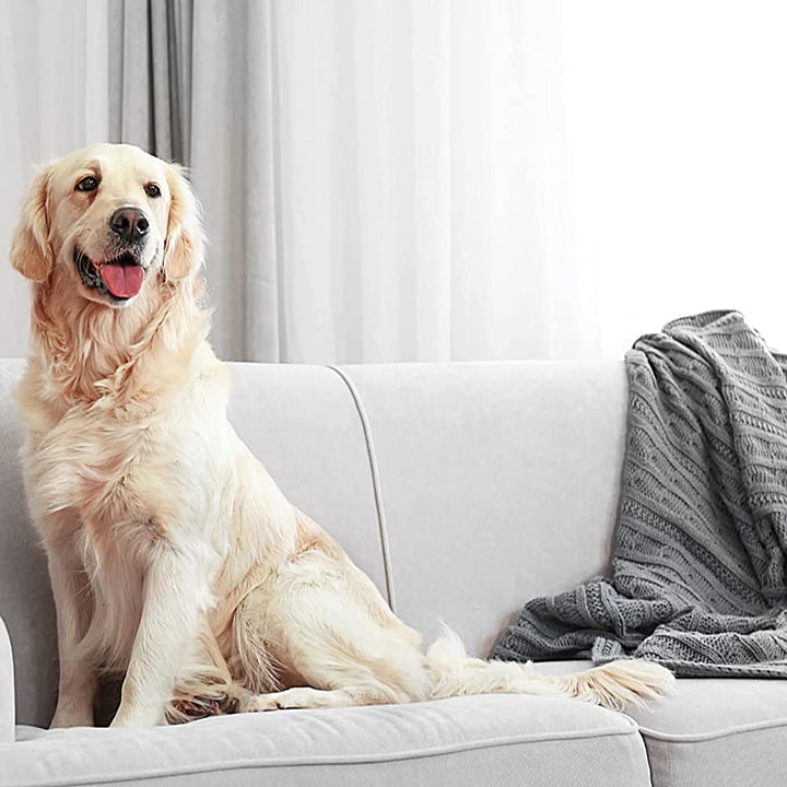 Flea Spray for Homes, 128-Ounce, Packaging May Vary