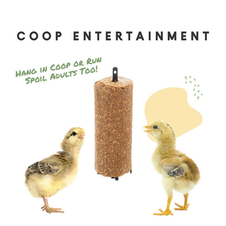Chick Supplies Treat | Chick Brooder Chick Stick | Chicken Coop Accessories | Chick Starter Kit | 15 oz
