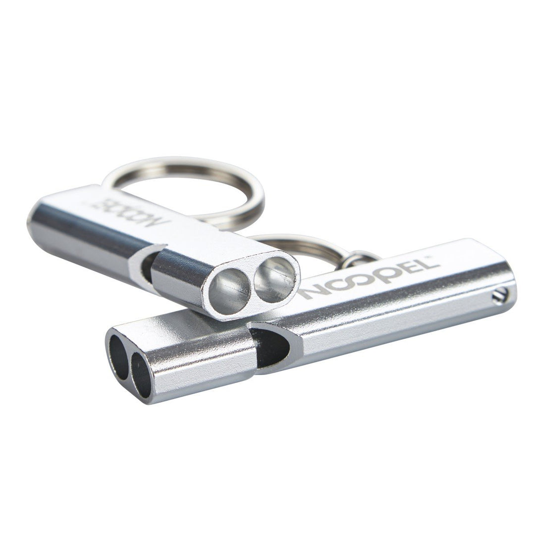 2 Pack Survival Whistle with Lanyard and Keychain Double Tubes Emergency Safety Whistle with Keyring for Boating Outdoor Camping Hiking Hunting Sports Dog Training (2 Pack Silver)