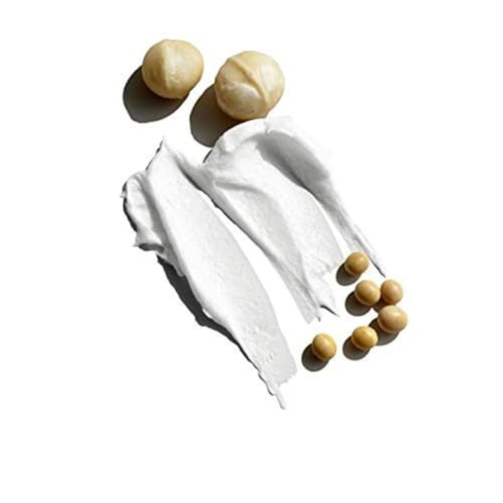 Nourishing Hair & Scalp Conditioner – Tea Tree Leaf Oil & Basil Leaf – For All Hair Types, Hair Products for Men, Tea Tree Conditioner for Men, Scalp Moisturizer