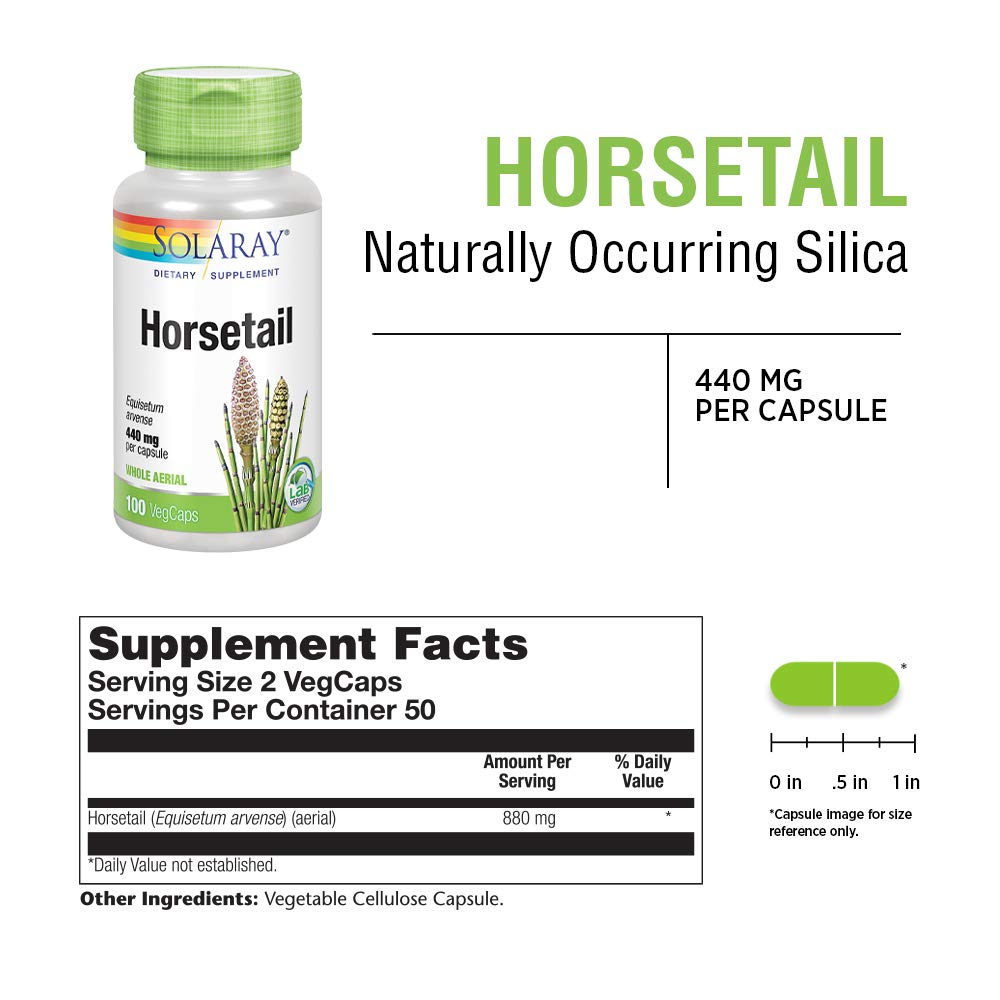Horsetail 880 mg | Silica Supplement for Healthy Hair, Skin, Nails & Joint Support | 50 Servings | 100 VegCaps