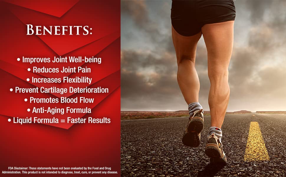 –Premium Liquid Glucosamine Chondroitin & MSM- Liquid Joint Support Formula 1500mg Glucosamine, 800mg Chondroitin, & 500mg MSM - 16 Fl Oz