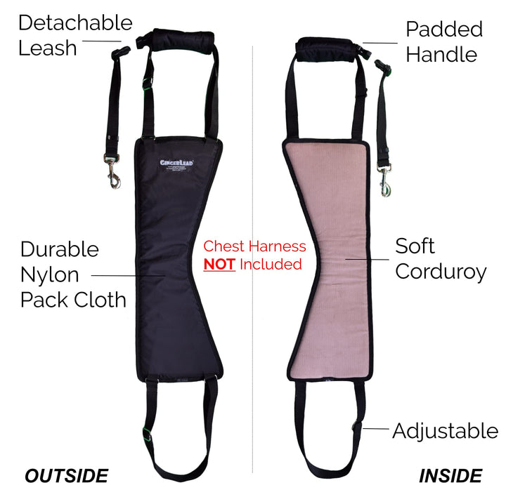 GINGERLEAD Dog Rear Support Sling Harness, M/LG Unisex with Cutout Fits Male & Female Dogs. Padded Hip Lifting Aid Helps Old Pets Walk, K9s Recover from TPLO Surgery. Integrated Leash. Made in U.S.A.