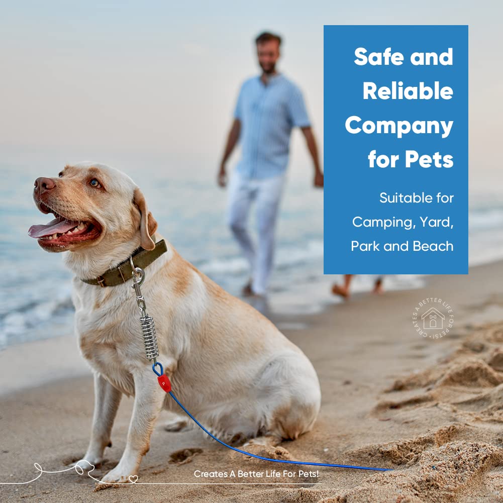 Dog Tie-Out Cable 30ft - Outdoor Leash 4mm Metal Cable with Shock Absorbing Spring 360° Swivel Clips, Chain for Dogs Yard Camping, Fit Small Medium Large Pets Up to 120lbs, Blue