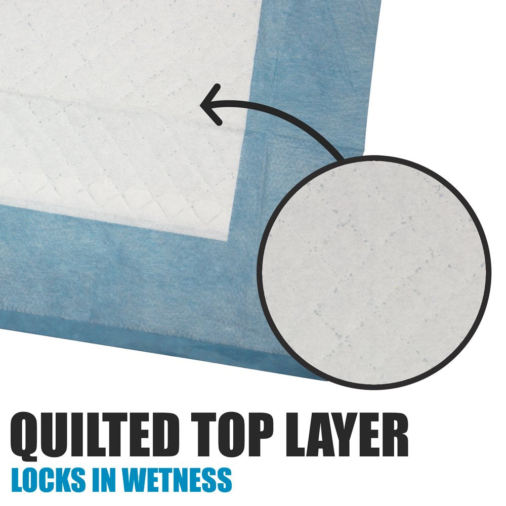 Puppy Pads Leak-Proof 100 Count 22x 22 | Pee Pads for Dogs Quick Absorb 6-Layer Pets Potty Pads Puppy Training Pads for Dogs, Pet Pee Pads