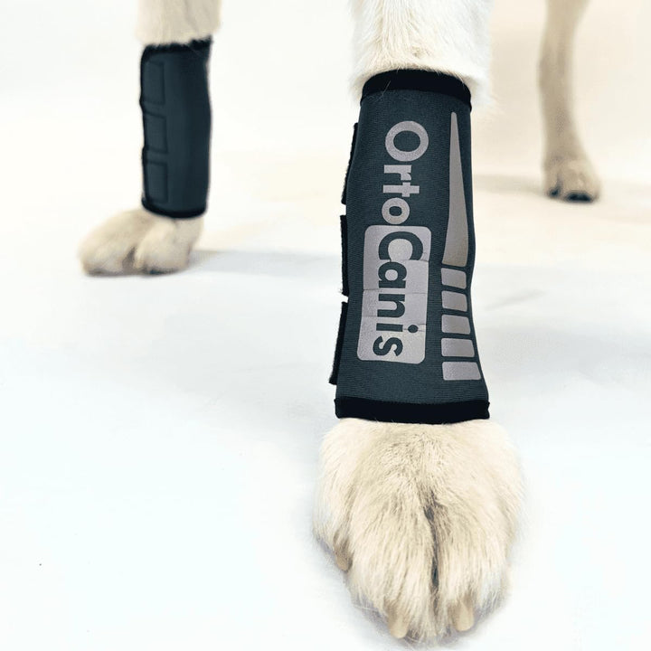- Carpal Brace for Dogs with Arthrosis, Ligament or Tendon Injuries, or Agility Dogs, Size L