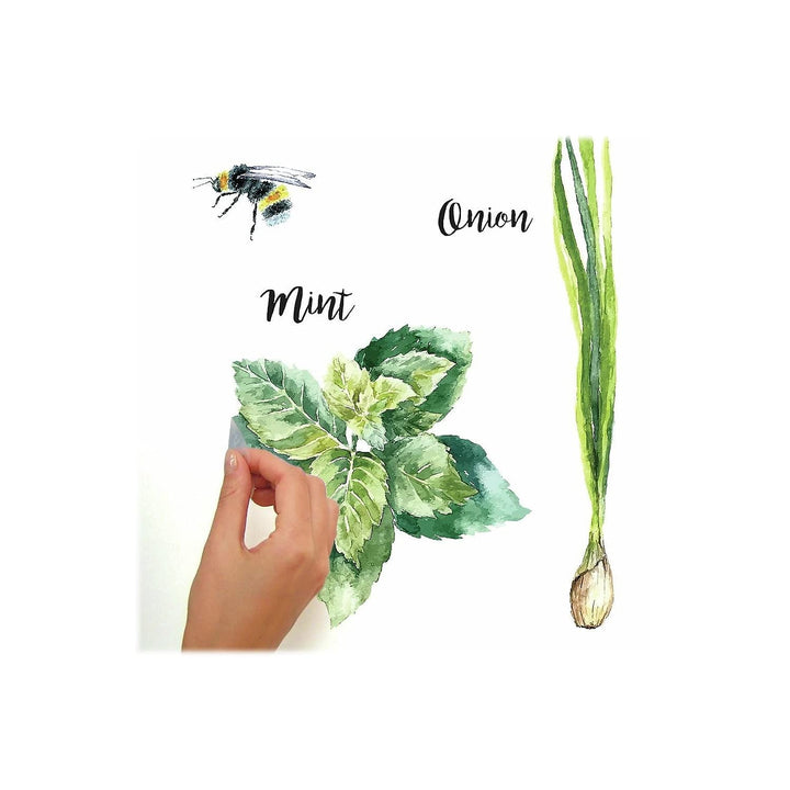 RMK3653SCS Watercolor Herb Peel and Stick Wall Decals