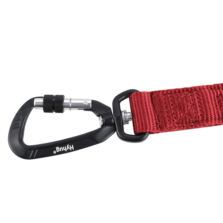 Pets 24 Inches Durable Short Leash with Neoprene Soft Handle and Lightweight Aviation Aluminium Clip Lead- for Daily Use Walking and Professional Training. (Red)