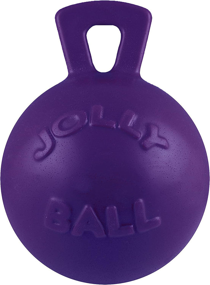 Tug-n-Toss Heavy Duty Dog Toy Ball with Handle, 6 Inches/Medium, Purple