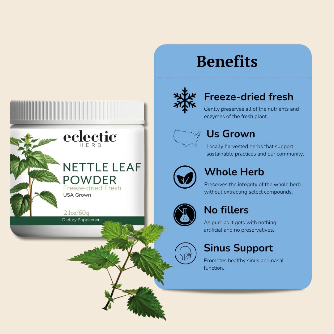 Eclectic Institute Raw Fresh Freeze-Dried Nettle Leaf Whole Food Powder | 2.1 oz (60 g)
