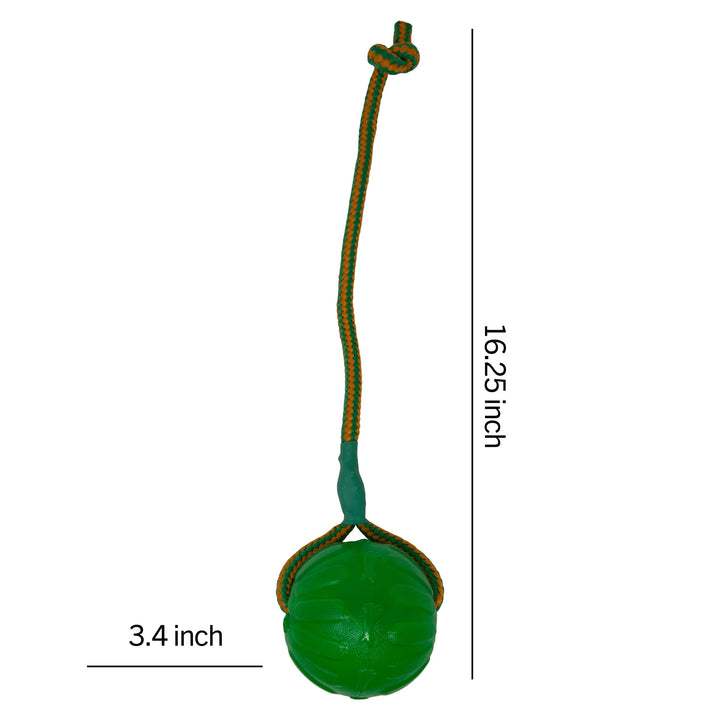 Everlasting Fun Ball on a Rope Dog Toy,Greens,Medium/Large